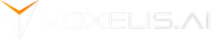 Voxelis.AI